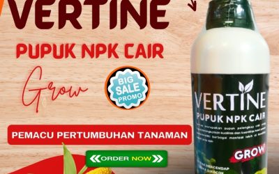 FREE KONSULTASI! 0813-2747-3262, AGEN Pupuk Jagung Terbaik Tolitoli, Pupuk Jagung Buol, Pupuk Jagung Agar Berbuah Besar Buol