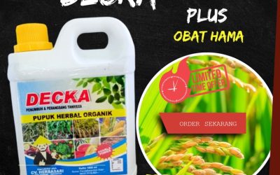 FREE KONSULTASI! 0813-2747-3262, AGEN Pupuk Padi Terbaik Polewali, Pupuk Padi Majene, Pupuk Padi Cair Majene