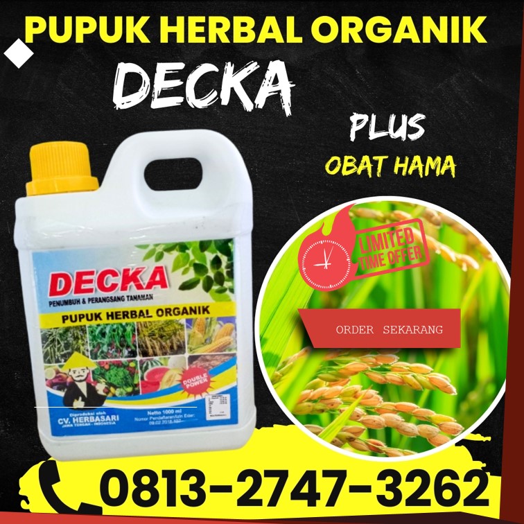AGEN Pupuk Organik Padi Sawah Polewali, DISTRIBUTOR Pupuk Organik Padi Yang Bagus Majene, Pupuk Daun Padi Organik Majene