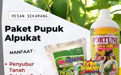 LEGALITAS KEMENTAN! 0813-2747-3262, DISTRIBUTOR Pupuk Alpukat Liwa, Pupuk Dan Obat Hama Alpukat Tulang Bawang, Pupuk Buah Alpukat Menggala