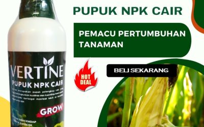 AMANAH! 0813-2747-3262, AGEN Pupuk Jagung Agar Berbuah Besar Buol, Pupuk Buah Jagung Morowali, Pupuk Jagung Cair Bungku