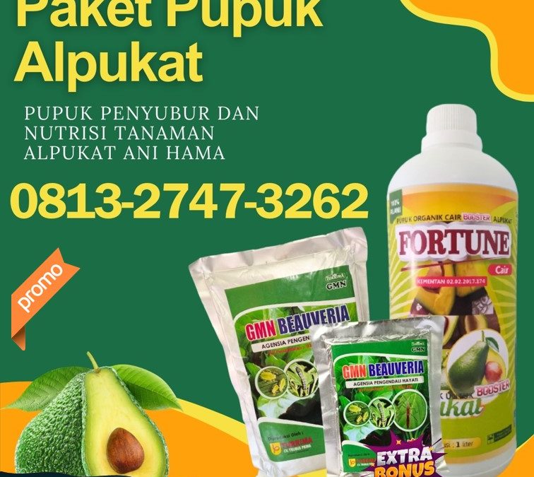 AMANAH! 0813-2747-3262, AGEN Pupuk Dan Obat Hama Alpukat Tulang Bawang, Pupuk Buah Alpukat Menggala, Pupuk Booster Alpukat Tanggamus