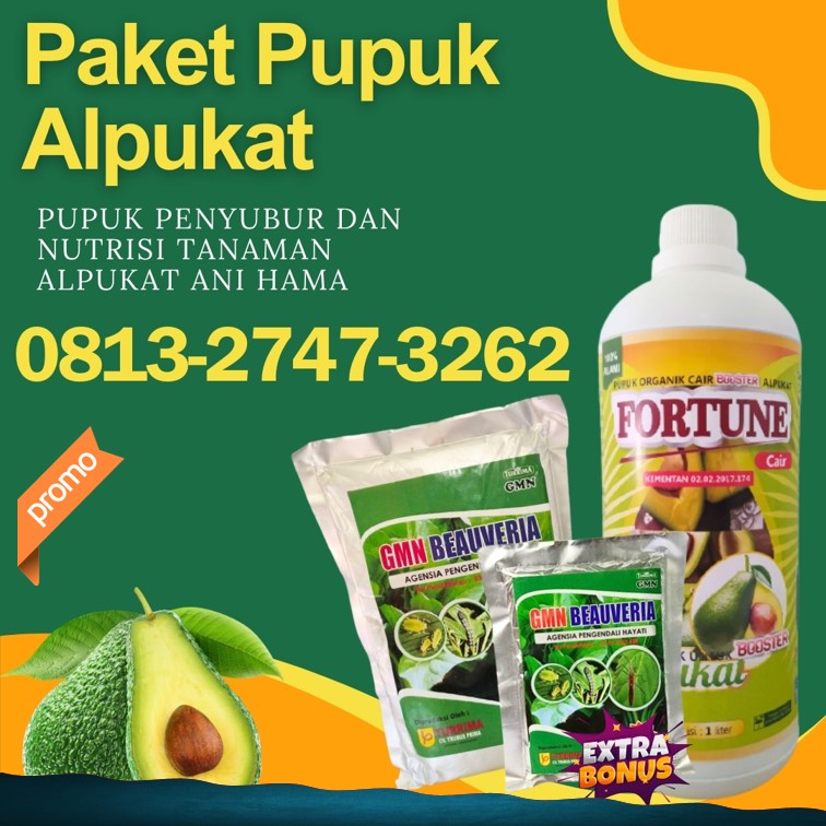 AGEN Pupuk Obat Hama Alpukat Tulang Bawang, TOKO Pupuk Alpukat Menggala, Pupuk Obat Alpukat Tanggamus