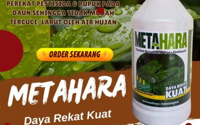 RAMAH LINGKUNGAN! 0813-2747-3262, TOKO Perekat Pupuk Terbaik Kota Blitar, Perekat Fungisida Kota Kediri, Perekat Herbisida Kota Madiun