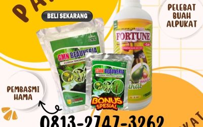 RAMAH LINGKUNGAN! 0813-2747-3262, TOKO Pupuk Buah Alpukat Menggala, Pupuk Booster Alpukat Tanggamus, Pupuk Alpukat Terbaik Kota Agung
