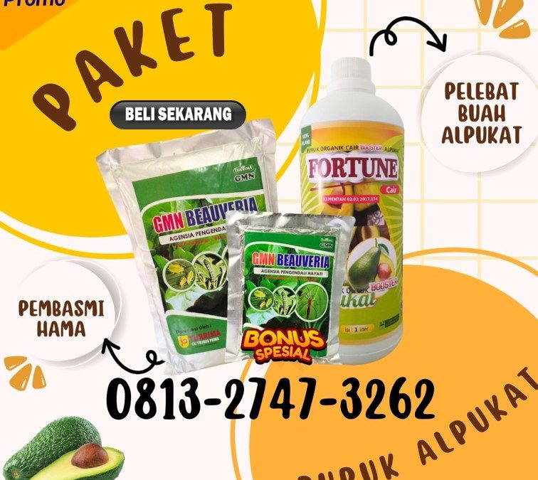 RAMAH LINGKUNGAN! 0813-2747-3262, TOKO Pupuk Buah Alpukat Menggala, Pupuk Booster Alpukat Tanggamus, Pupuk Alpukat Terbaik Kota Agung