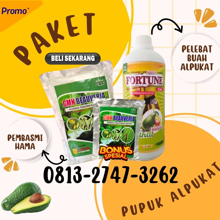 TOKO Pupuk Alpukat Menggala, SUPPLIER Pupuk Obat Alpukat Tanggamus, Pupuk Alpukat Agar Cepat Berbuah Kota Agung