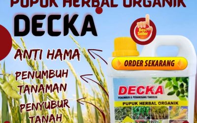 RAMAH LINGKUNGAN! 0813-2747-3262, TOKO Pupuk Organik Cair Padi Mamuju Tengah, Pupuk Padi Organik Tobadak, Pupuk Padi Terbaik Kota Mamuju