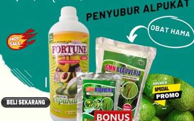 HASIL PANEN MAKSIMAL! 0813-2747-3262, SUPPLIER Pupuk Booster Alpukat Tanggamus, Pupuk Alpukat Terbaik Kota Agung, Pupuk Alpukat Lampung Timur