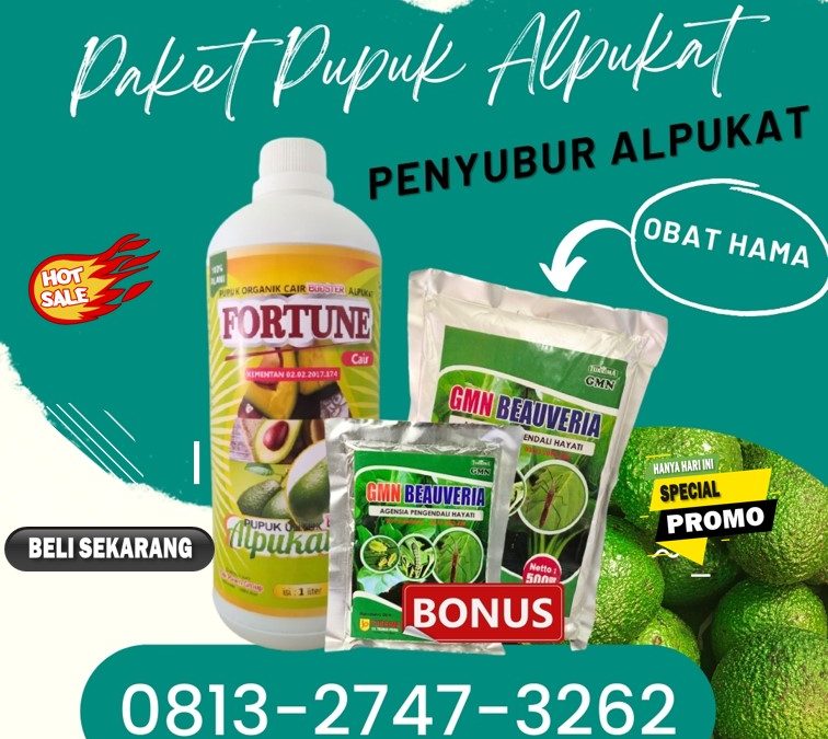 HASIL PANEN MAKSIMAL! 0813-2747-3262, SUPPLIER Pupuk Booster Alpukat Tanggamus, Pupuk Alpukat Terbaik Kota Agung, Pupuk Alpukat Lampung Timur