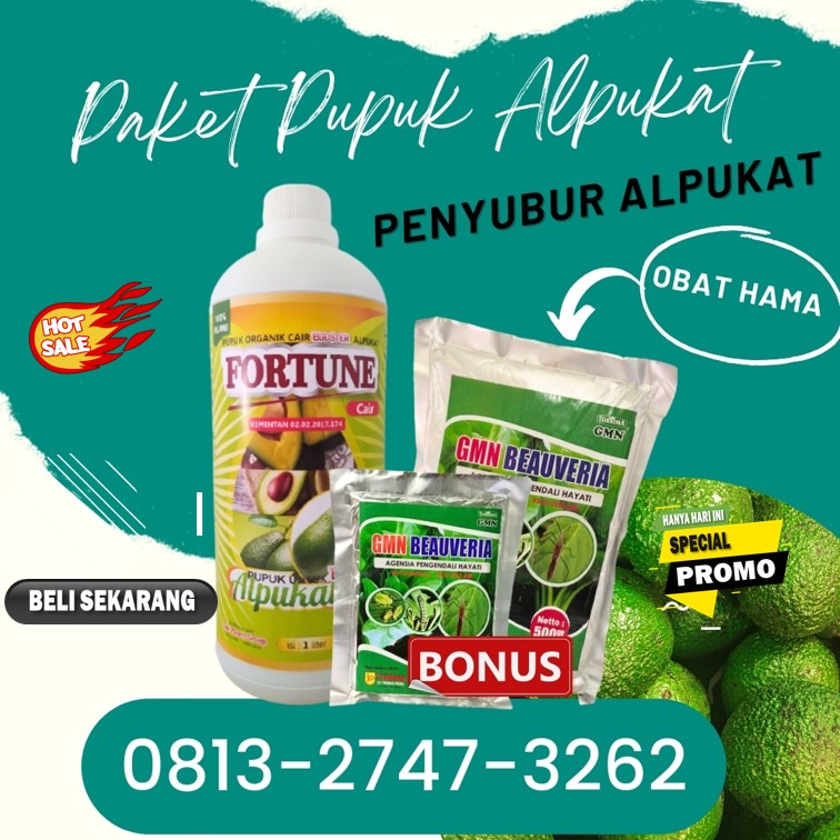 SUPPLIER Pupuk Obat Alpukat Tanggamus, PRODUSEN Pupuk Alpukat Agar Cepat Berbuah Kota Agung, Pupuk Alpukat Agar Tidak Rontok Lampung Timur