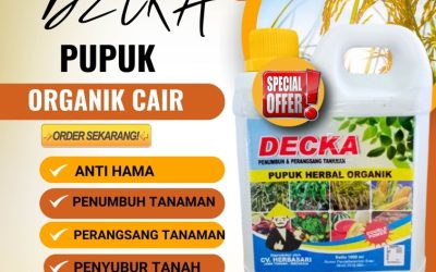 HASIL PANEN MAKSIMAL! 0813-2747-3262, SUPPLIER Pupuk Padi Organik Tobadak, Pupuk Padi Terbaik Kota Mamuju, Pupuk Padi Kota Mamuju