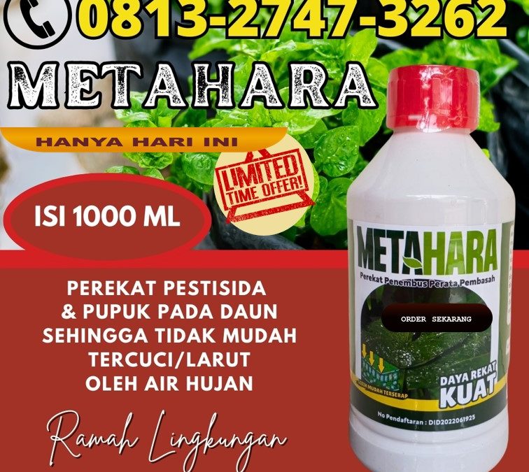 PANEN MELIMPAH! 0813-2747-3262, PUSAT Perekat Insektisida Kota Malang, Perekat Pestisida Kota Mojokerto, Perekat Perata Kota Pasuruan