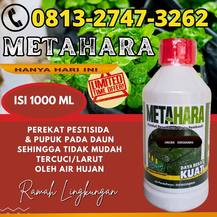 PUSAT Perekat Fungisida Kota Malang, JUAL Perekat Herbisida Kota Mojokerto, Perekat Insektisida Kota Pasuruan