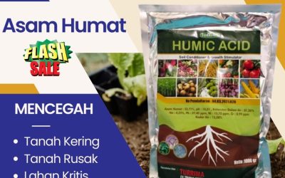 TERBAIK CALL 0812-2882-4834, AGEN Asam Humat Jember