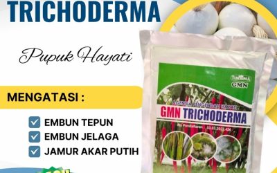 PASTI SUBUR! 0812-2882-4834, AGEN Fungisida Trichoderma Muaro Sijunjung