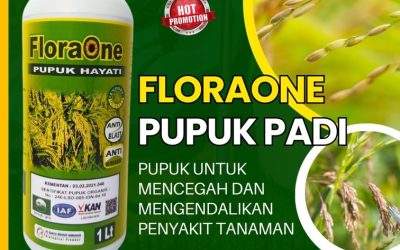 ORGANIK CALL 0812-2882-4834, AGEN Pupuk Hayati Untuk Padi di Aceh Selatan