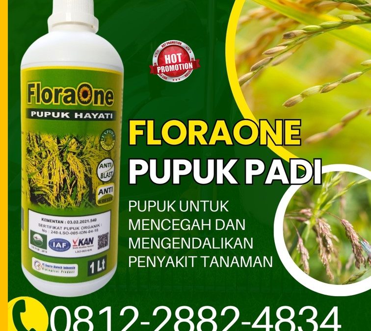 ORGANIK CALL 0812-2882-4834, AGEN Pupuk Hayati Untuk Padi di Aceh Selatan
