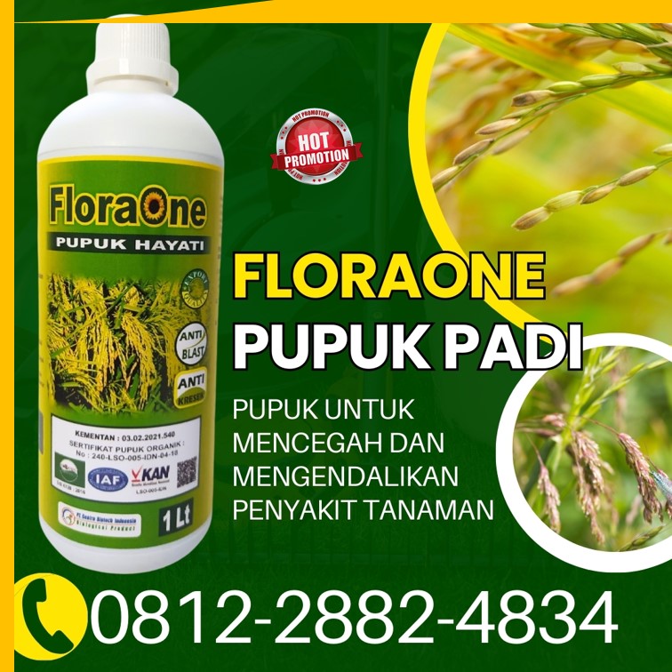 AGEN Pupuk Hayati Untuk Padi di Aceh Selatan