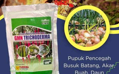TERBAIK! 0812-2882-4834, DISTRIBUTOR Fungisida Sijunjung