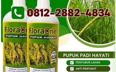 GARA GARA INI CALL 0812-2882-4834, AGEN Floraone Pupuk Hayati di Aceh Tamiang