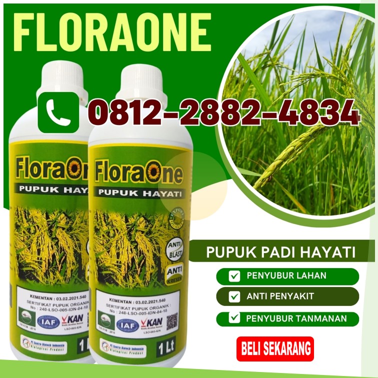 DISTRIBUTOR Trichoderma Untuk Padi di Aceh Singkil