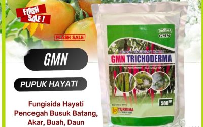 HARGA KHUSUS! 0812-2882-4834, GROSIR Fungisida Hayati Trichoderma Painan