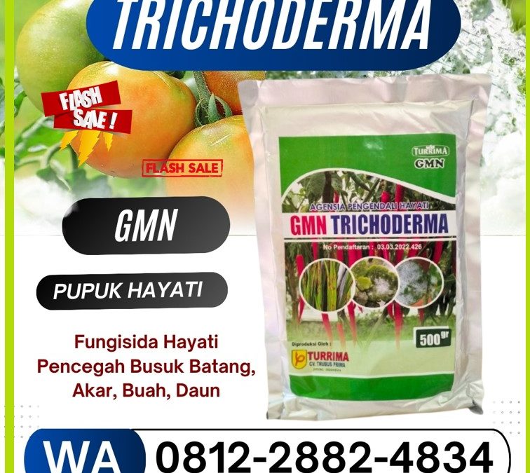 HARGA KHUSUS! 0812-2882-4834, GROSIR Fungisida Hayati Trichoderma Painan