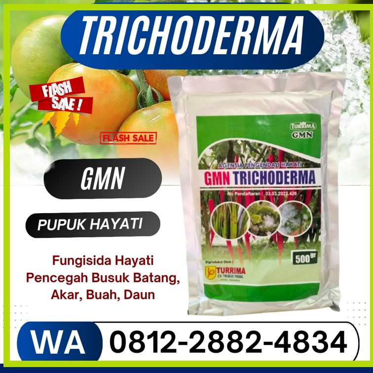 GROSIR Fungisida Hayati Trichoderma Painan