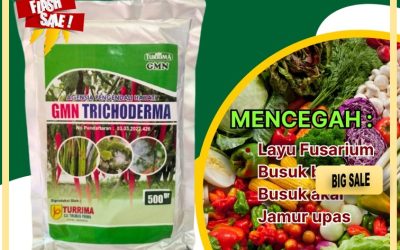 TERBUKTI! 0812-2882-4834, HARGA Fungisida Tricoderma Solok