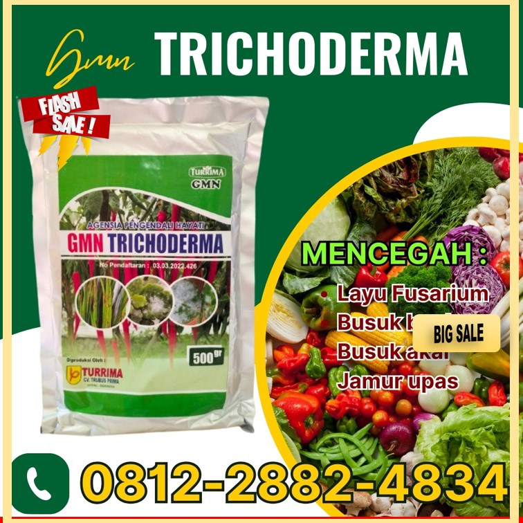 HARGA Fungisida Tricoderma Solok