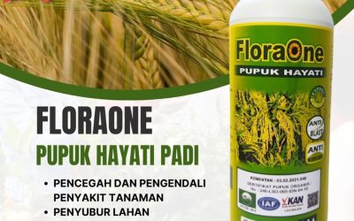 ALAMI CALL 0812-2882-4834, HARGA Pupuk Cair Untuk Padi di Aceh Jaya