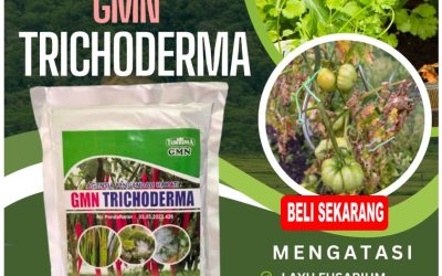 ANTI JAMUR! 0812-2882-4834, JUAL Fungisida Padang, Fungisida Trichoderma Pesisir Selatan, Fungisida Hayati Trichoderma Painan