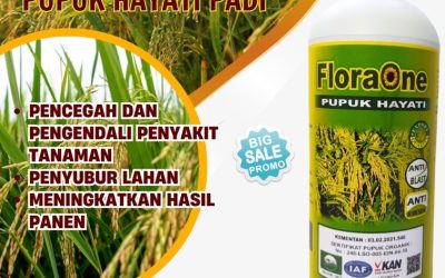 OH JADI INI CALL 0812-2882-4834, JUAL Pupuk Untuk Padi di Aceh Barat Daya