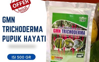 TERLARIS! 0812-2882-4834, PRODUSEN GMN Trichoderma Padang Pariaman