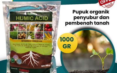 ALAMI CALL 0812-2882-4834, PUSAT Asam Humat Lamongan