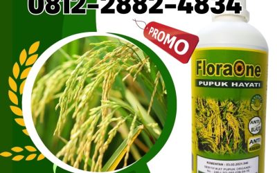 GARA GARA INI CALL 0812-2882-4834, PUSAT Floraone Pupuk Hayati di Aceh Barat