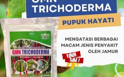 SEDANG DISKON! 0812-2882-4834, PUSAT Fungisida Trichoderma Pesisir Selatan