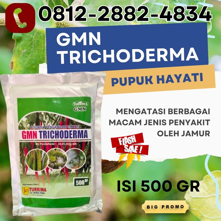 PUSAT Fungisida Trichoderma Pesisir Selatan