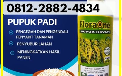 ALAMI CALL 0812-2882-4834, PUSAT Pupuk Cair Untuk Padi di Aceh Timur