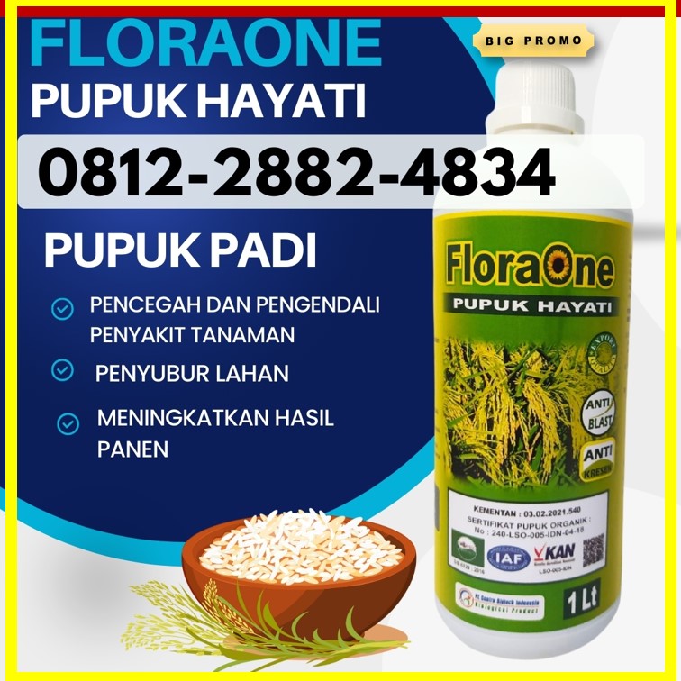 PUSAT Pupuk Cair Untuk Padi di Aceh Timur