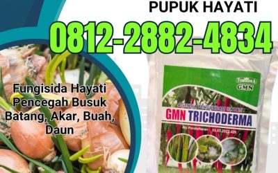 BISA COD! 0812-2882-4834, TOKO Fungisida Hayati Trichoderma Tanah Datar