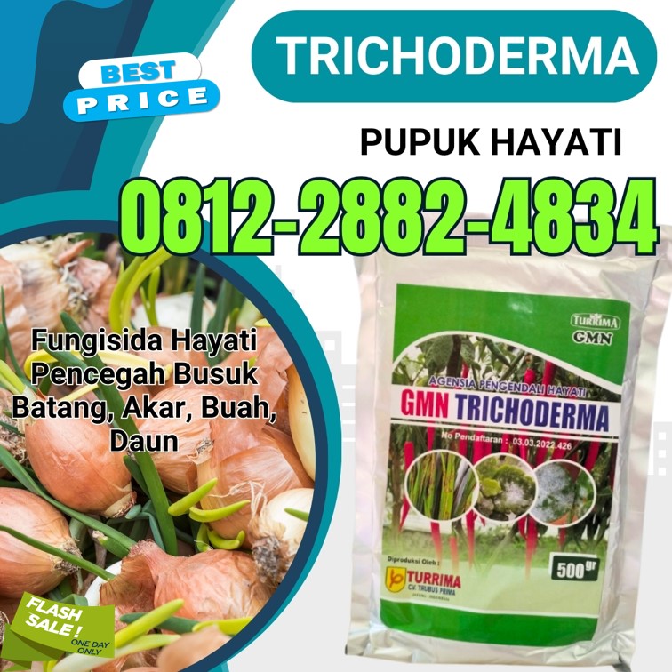 TOKO Fungisida Hayati Trichoderma Tanah Datar