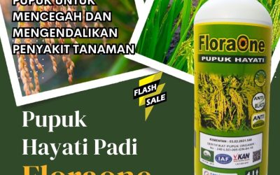 OH JADI INI CALL 0812-2882-4834, TOKO Pupuk Untuk Padi di Aceh Tengah