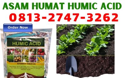 CUMA BULAN INI CALL 0813-2747-3262, GROSIR Asam Humat Terbaik Ponorogo, Asam Humat Probolinggo, Humic Acid Sampang
