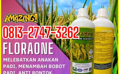 CUMA BULAN INI CALL 0813-2747-3262, GROSIR Pupuk Padi Kota Lhokseumawe, Pupuk Cair Untuk Padi Kota Sabang, Pupuk Hayati Untuk Padi Kota Subulussalam