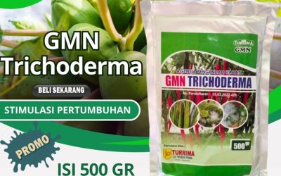 ANTI JAMUR! 0813-2747-3262, JUAL Fungisida Pulau Punjung, Fungisida Trichoderma Solok Selatan, Fungisida Hayati Trichoderma Padang Aro