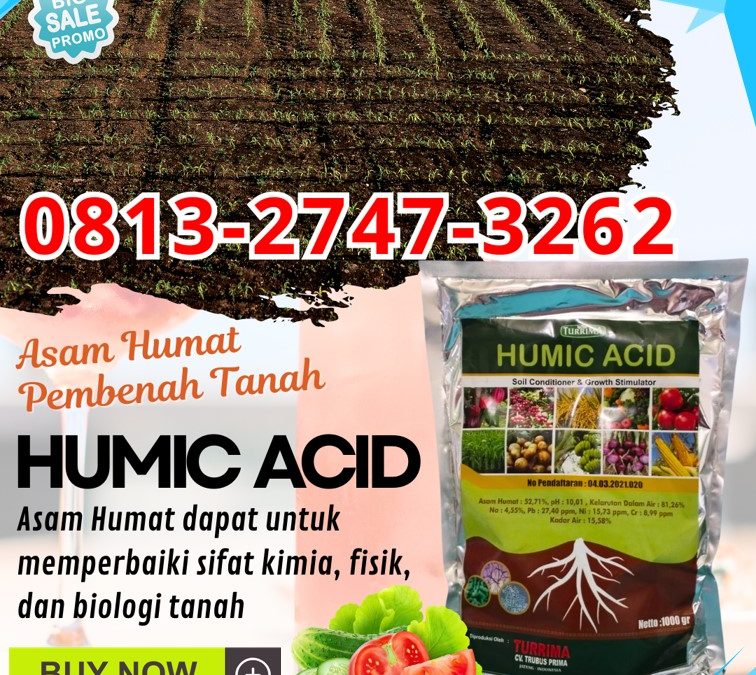 GA MAIN MAIN CALL 0813-2747-3262, GROSIR Asam Humat Terbaik Kota Batu, Asam Humat Kota Blitar, Humic Acid Kota Kediri