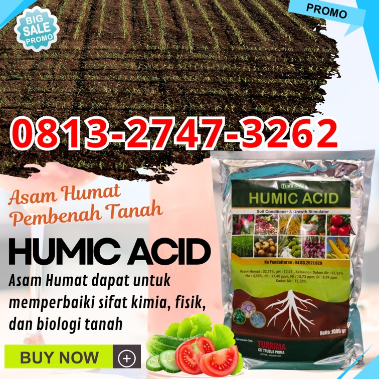 GROSIR Asam Humat Untuk Kubis Kota Batu, HARGA Asam Humat Musim Kemarau Kota Blitar, Asam Humat Untuk Kacang Panjang Kota Kediri