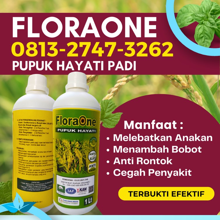 GROSIR Pupuk Cng Untuk Padi Panton Reu, HARGA Pupuk Cair Untuk Padi Terbaik Samatiga, Pupuk Cair Terbaik Untuk Padi Sungai Mas